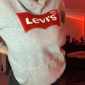 Gray Levi’s hoodie
